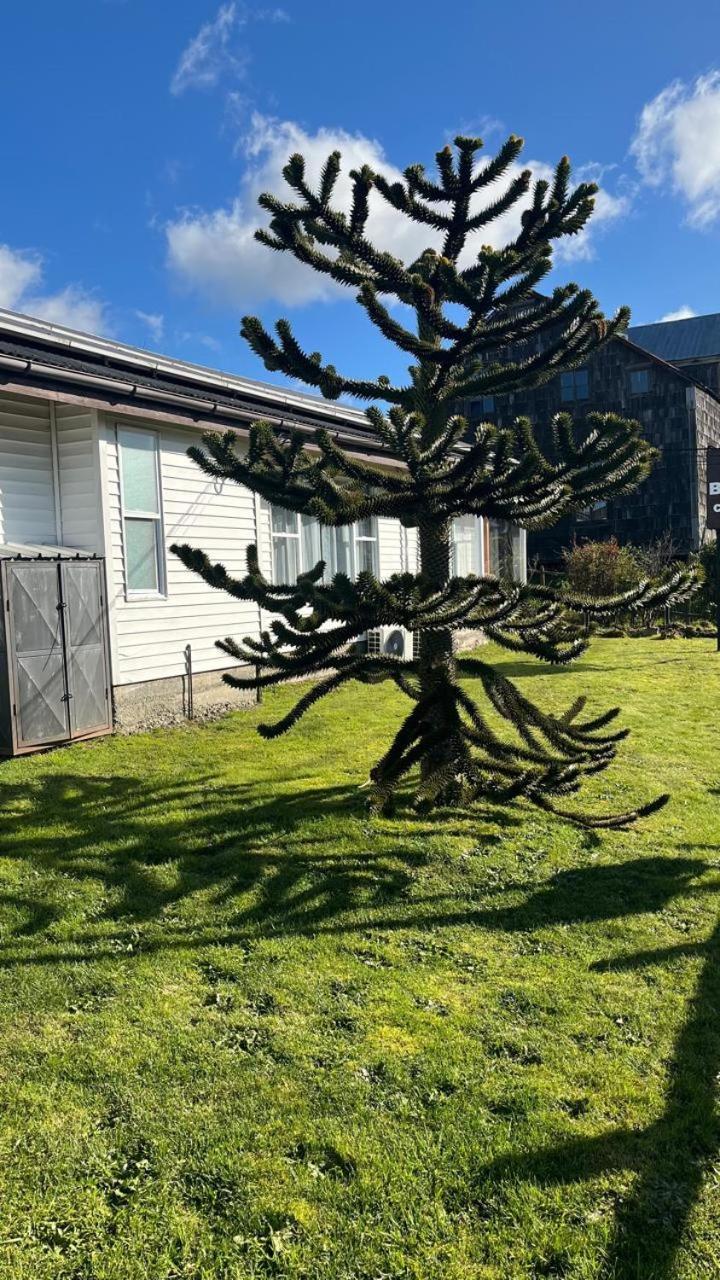 Cabanas Bosque Sur Puerto Varas Eksteriør bilde